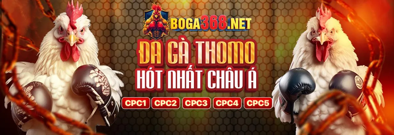 Trải nghiệm cá nhân hóa s26bet